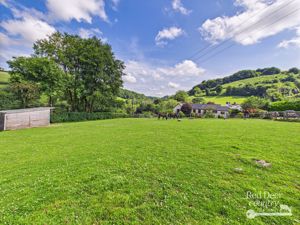 Paddock- click for photo gallery